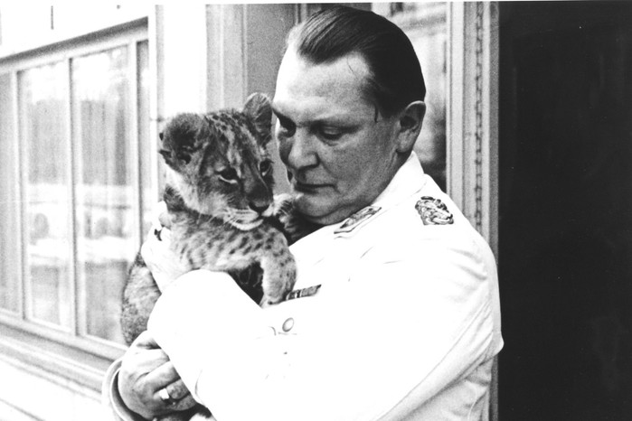 Hermann Görings roll i andra världskriget