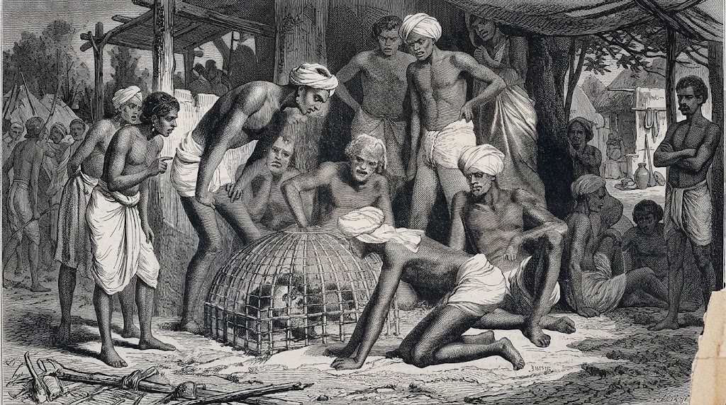 Illustration som föreställer människor med en bur med råttor, vilka användes för att äta upp fångar levande som en form av tortyr.